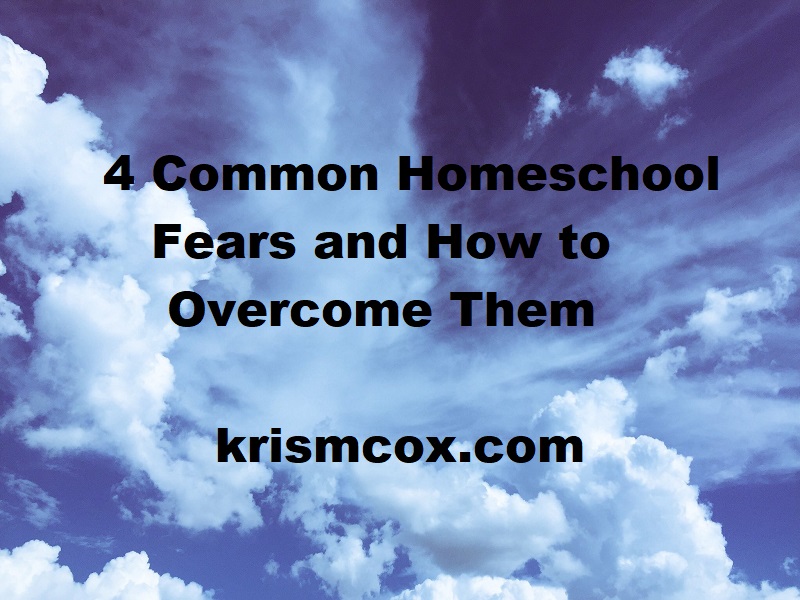 Overcoming the Most Common Homeschool Fears