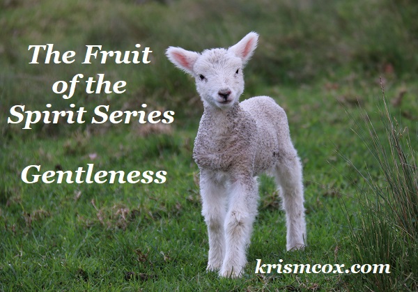 The Fruit of the Spirit Series ~ GENTLENESS